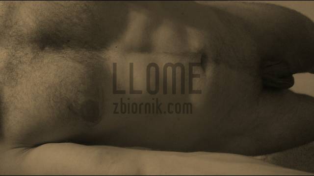 ja10.JPG - llome
