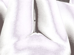 xray2.jpg