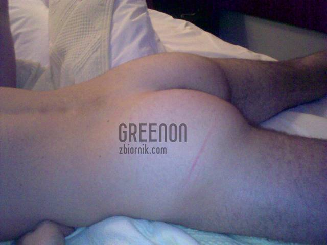 01032009349.jpg - Greenon