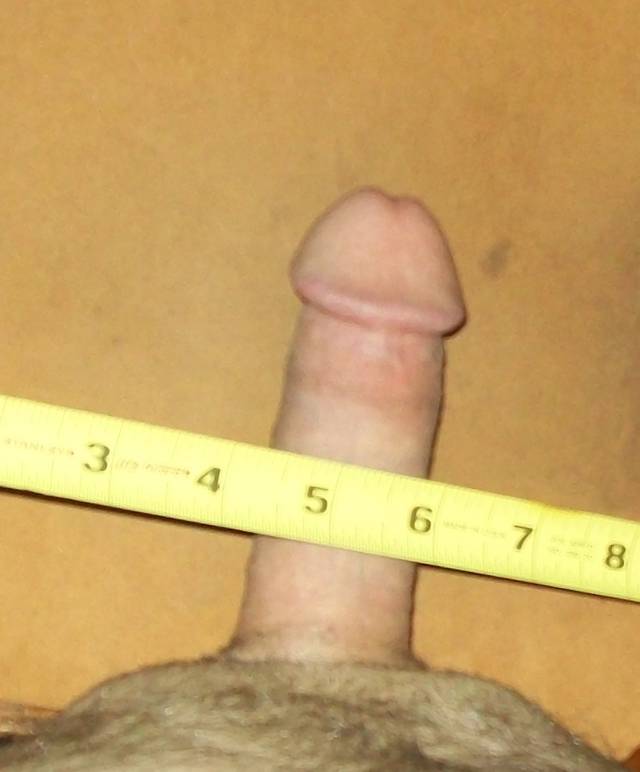 rogacz_i_HOTKA