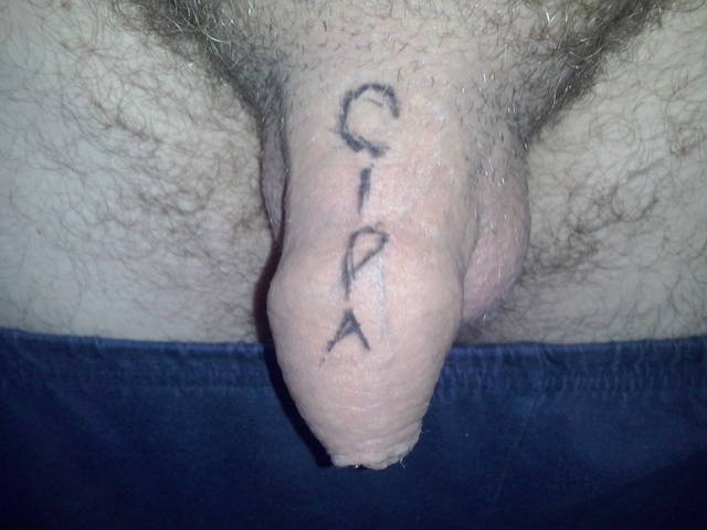 rogacz_i_HOTKA