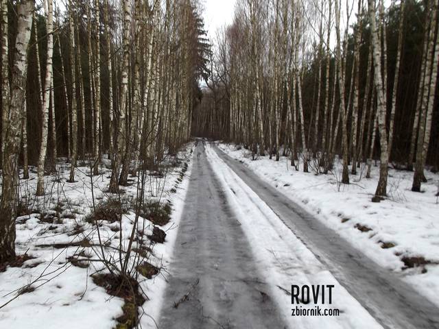 Nie lubię zimy :( bryy - Rovit