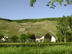 DSC00851.JPG