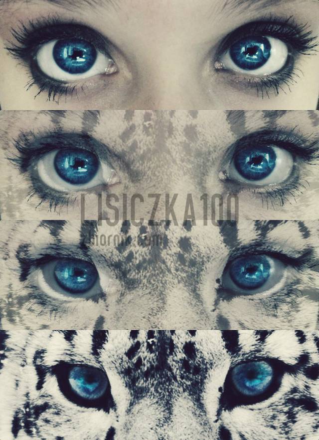 lisiczka100