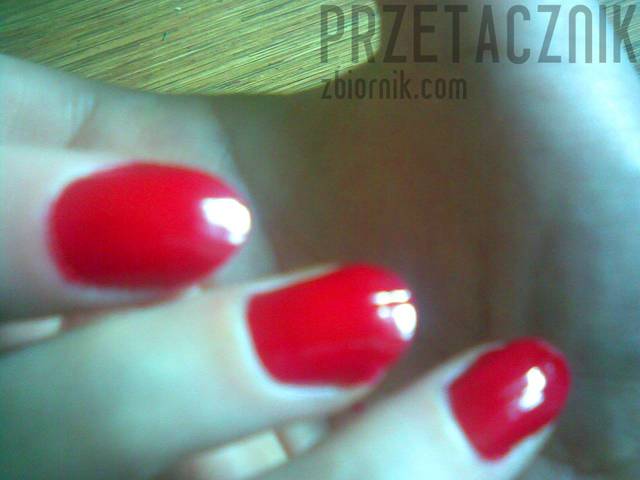 Przetacznik