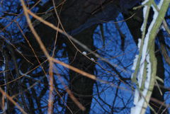 DSC_0945.JPG