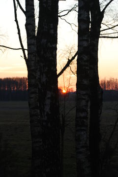 DSC_1051.JPG