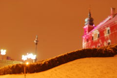 DSC_0931.JPG