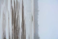 DSC_0023.JPG