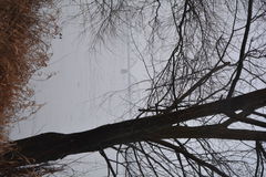 DSC_0079.JPG