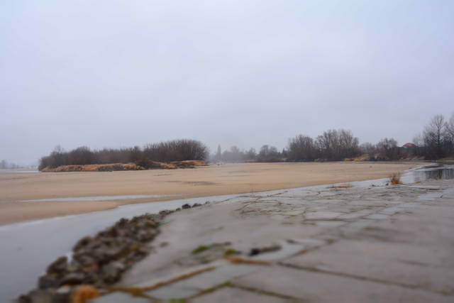 DSC_0048.JPG - kochanek_do_wynajecia11