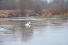 DSC_0033.JPG