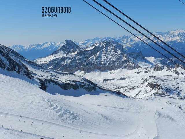 szogun8018