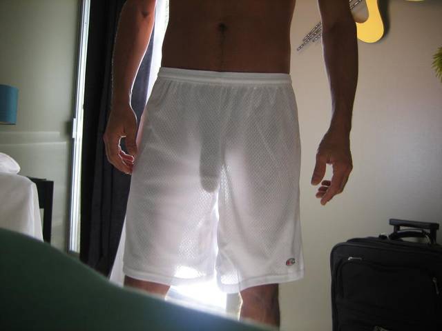 ccarloss
