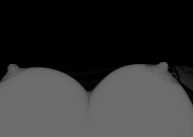 tit.JPG - myiwy2