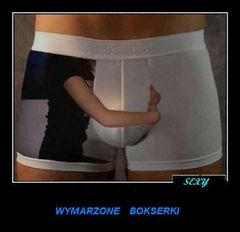 Bokserki.jpg