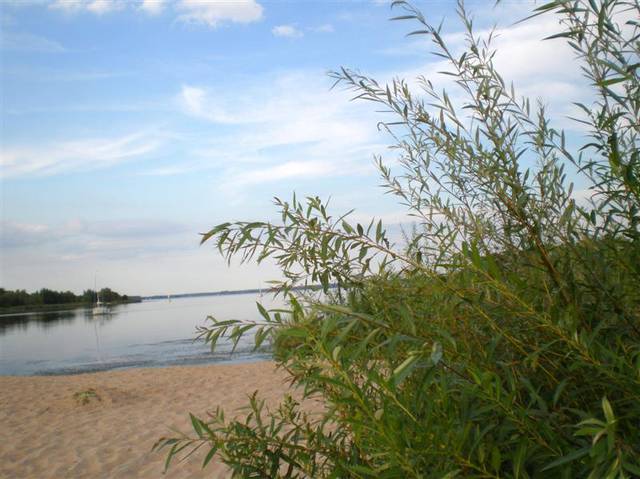 EroCipulek