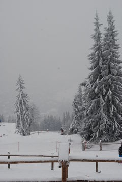 DSC_1122.JPG