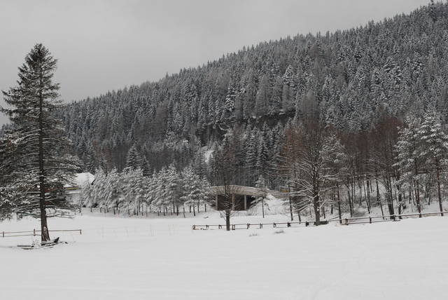 DSC_1150.JPG - Arrou
