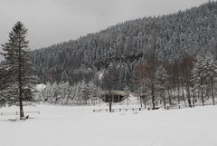 DSC_1150.JPG