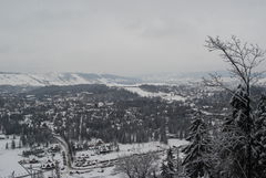 DSC_1239.JPG