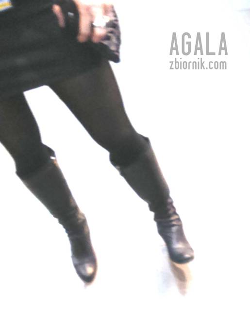 DSC793cz.jpg - AGALA