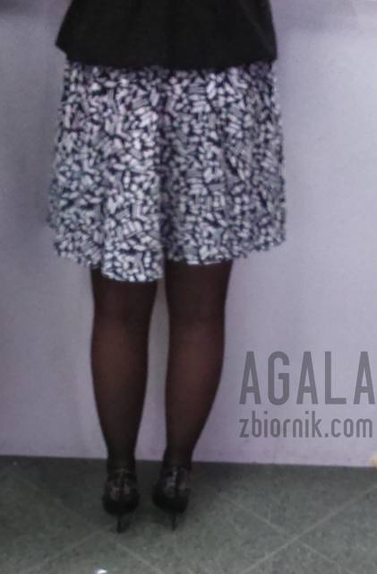 DS0786cz.jpg - AGALA
