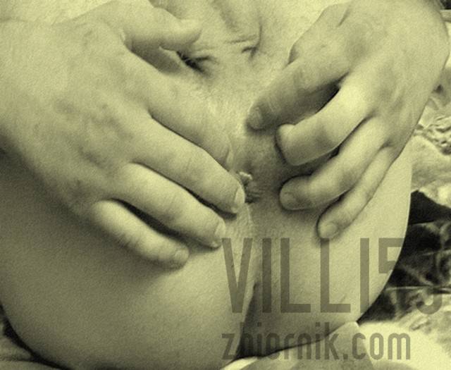 villi53