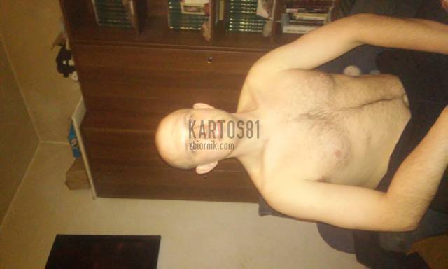 kartos81