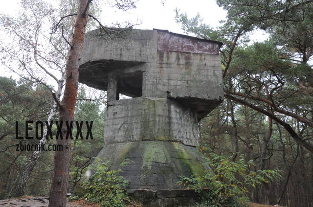 DSC_0161.JPG - Leoxxxxx