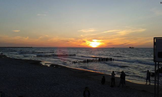 dary100