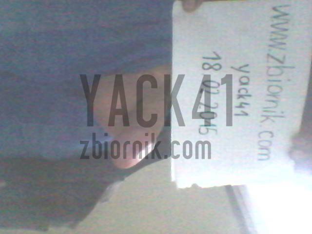 yack41