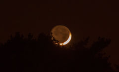 IMG_7565.jpg