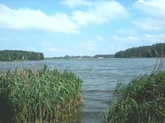 Zdjęcie0085.jpg