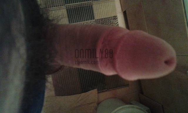 onmily88