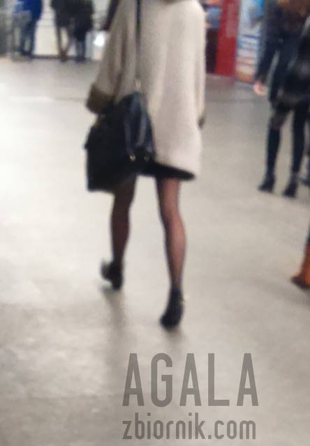DSC00821cz.jpg - AGALA