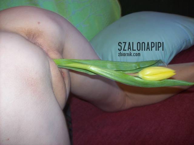 100_1566.JPG - szalonapipi