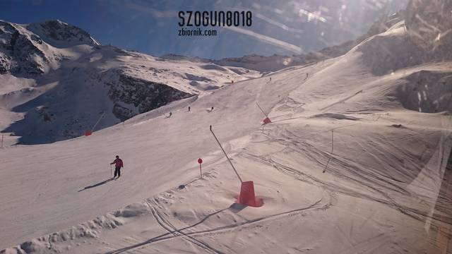 szogun8018