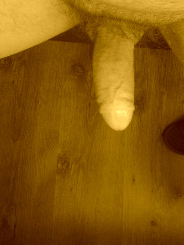 pawlootearty