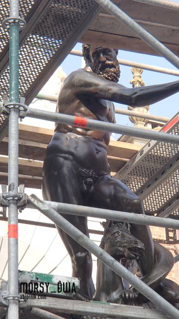 Neptun - Morsy_dwa
