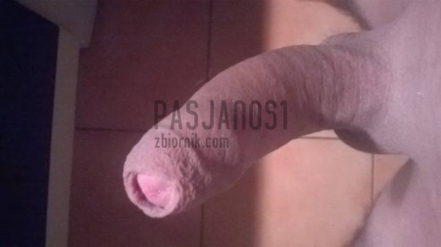 3000153.jpg - pasjanos1