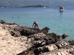 cro2014