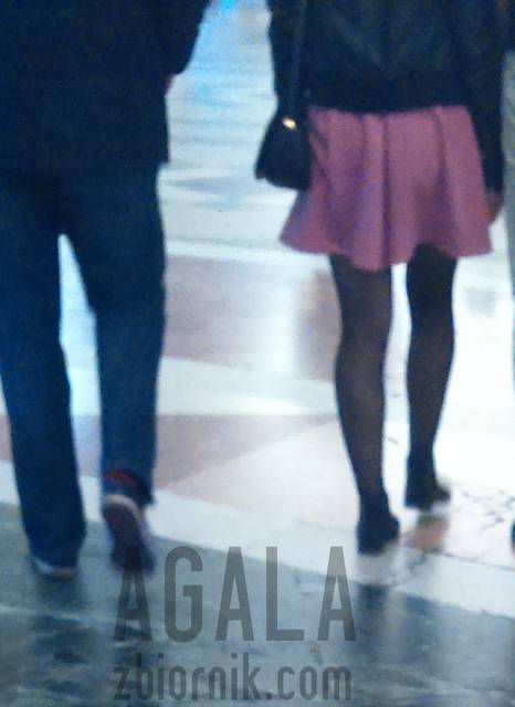 DSC0898cz.jpg - AGALA