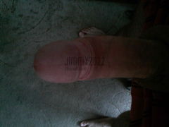 IMG050.jpg