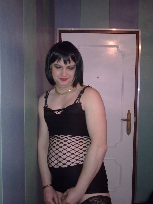 DominaZtrans