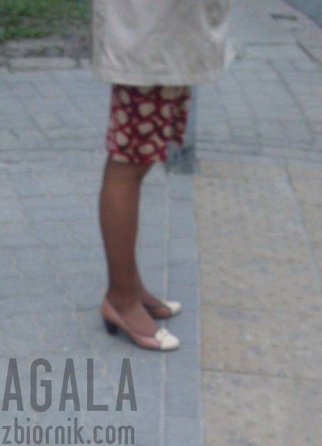 C_0909v.jpg - AGALA