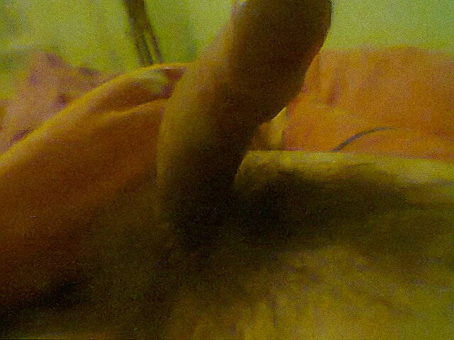 Penisek.jpg - Poter1
