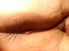 WP_000122.jpg