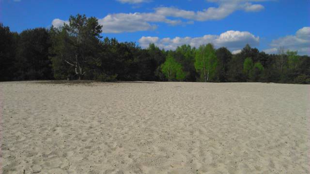 Naga plaża  - neww