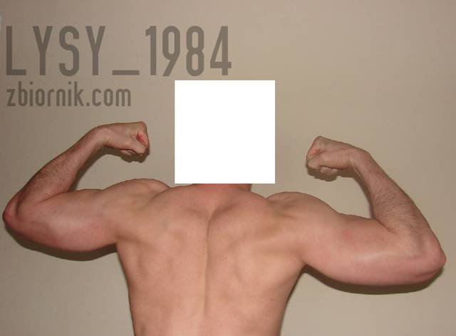 Lysy_1984